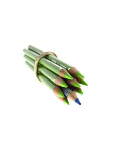 Studio shot of bunch of green pencils with one blue. Photo: David Arky