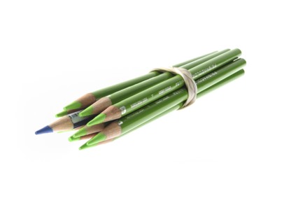 Studio shot of bunch of green pencils with one blue. Photo: David Arky