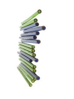 Studio shot of blue and green pencils. Photo: David Arky