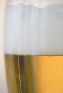 Glass of beer, close-up. Photo : Jamie Grill Photography