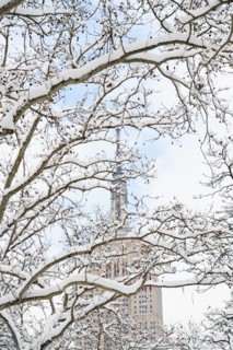 USA, New York, New York City, Empire State Building behind branches covered with snow.
