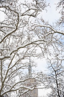 USA, New York, New York City, Empire State Building behind branches covered with snow.