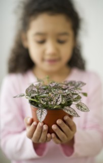 Portrait of defocused girl (6-7) holding potted plant.