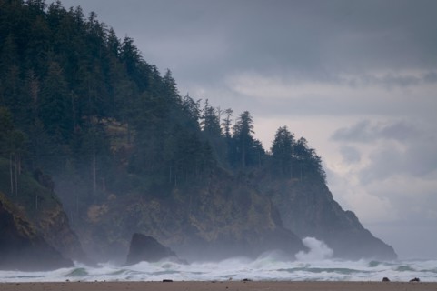 USA, Oregon, Tillamook County, Forest at coast. Photo : Gary Weathers