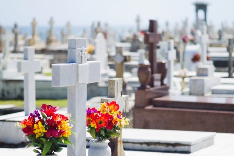 Puerto Rico, Old San Juan, Garves at Santa Maria Magdalena Cemetery.