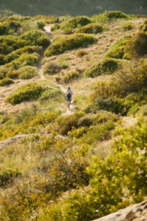USA, California, Laguna Beach, Mountain bikers on trail.