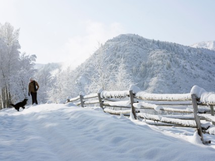 USA, Colorado, woman and dog in snowy ranch. Photo : John Kelly