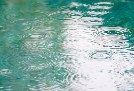 Raindrops on falling on pond surface. Photo : Jamie Grill Photography