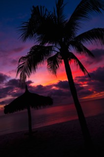 Aruba, silhouette of palm tree and palapa on beach at sunset. Photo : Daniel Grill