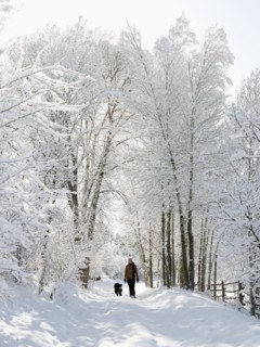 USA, Colorado, woman and dog on snowy road. Photo : John Kelly