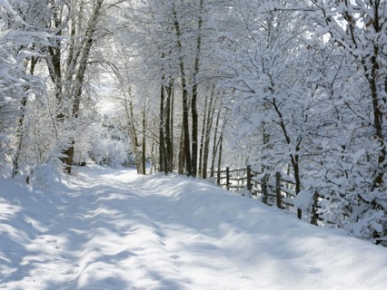 USA, Colorado, snowy road. Photo : John Kelly