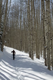 USA, Colorado, person hiking in forest. Photo : John Kelly