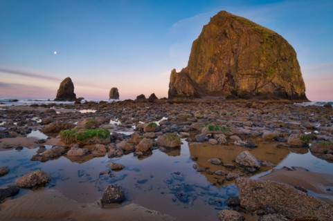 USA, Oregon, Clatsop County, Haystack Rock. Photo : Gary Weathers