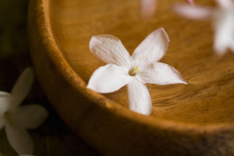 Tropical flower floating on water in bowl. Photo : Kristin Lee