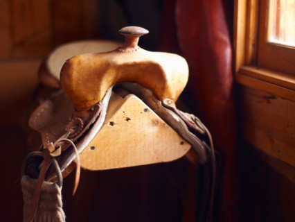 Saddle ion wooden stand. Photo : John Kelly