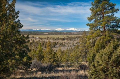 USA, Oregon, Deschutes County, Pines and snowy peaks. Photo : Gary Weathers