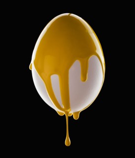 Studio shot of egg covered with yellow paint. Photo : Mike Kemp