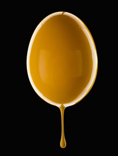 Studio shot of egg covered with yellow paint. Photo : Mike Kemp