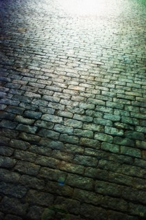 Cobblestoned street.