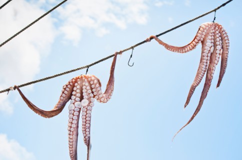 Greece, Cyclades Islands, Mykonos, Sun drying octopus on fishing boat.