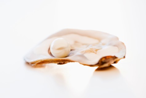 Studio shot of pearl in oyster.