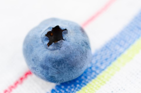 Studio shot of blueberry.
