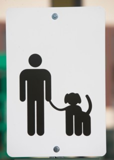 Dog walking sign, Close-up. Photo : fotog
