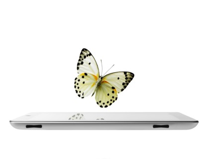 Studio shot of butterfly over digital tablet. Photo : David Arky