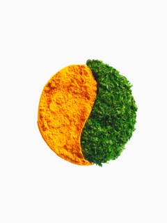 Studio shot of Carrot Powder making Yin and Yang sign on white background. Photo: David Arky