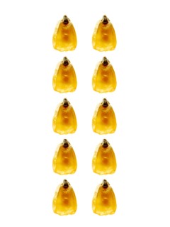 Studio shot of Yellow Corn Seeds on white background. Photo: David Arky