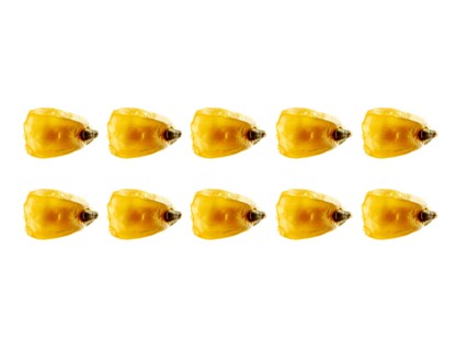 Studio shot of Yellow Corn Seeds on white background. Photo: David Arky