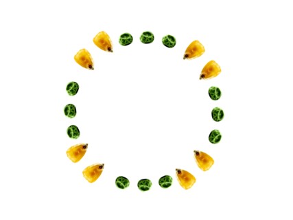 Studio shot of Yellow Corn Seeds and Pea Seeds on white background. Photo : David Arky