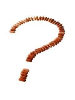 Studio shot of Bean Seeds making Question Mark on white background. Photo: David Arky