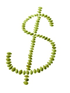 Studio shot of Bean Seeds making Dollar Sign on white background. Photo : David Arky