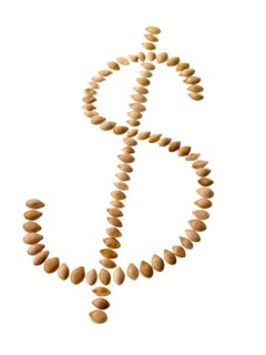 Studio shot of Dollar Sign making Bean Seeds on white background. Photo : David Arky