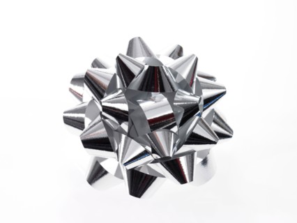 Studio shot of Silver Ribbon on white background. Photo: David Arky