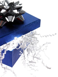 Studio shot of Blue Box and Blue Ribbon on white background. Photo : David Arky