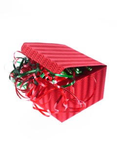 Studio shot of Red and Green Ribbon and Red Box on white background. Photo : David Arky