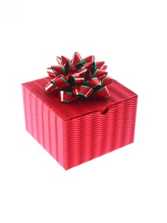 Studio shot of Red Box and Red and Green Ribbon on white background. Photo : David Arky