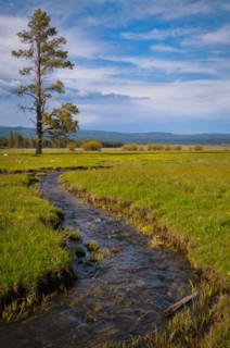 USA, Oregon, Scenic view of stream going through meadow. Photo: Gary J Weathers