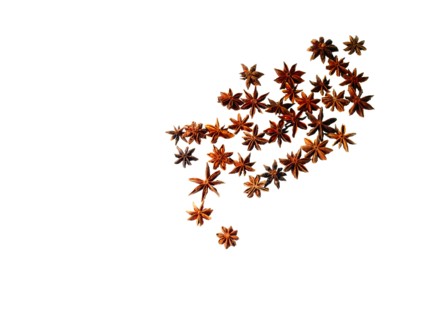Studio shot of star anise. Photo: David Arky