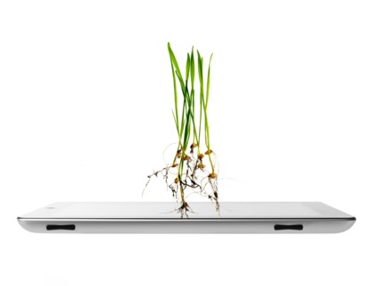 Studio shot of plants over digital tablet. Photo : David Arky
