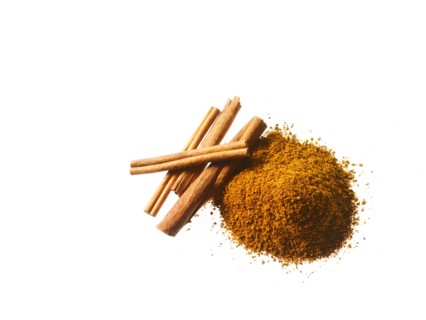 Studio shot of Ground Cinnamon and Cinnamon Sticks on white background. Photo : David Arky