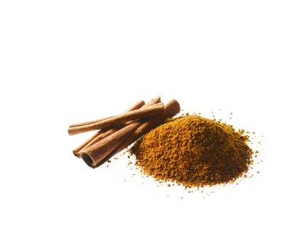Studio shot of Ground Cinnamon and Cinnamon Sticks on white background. Photo : David Arky