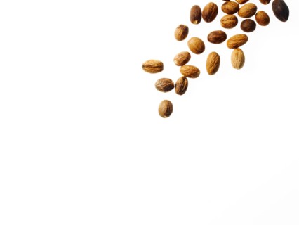 Studio shot of nutmeg. Photo : David Arky