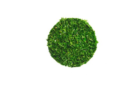 Studio shot of Parsley Flakes on white background. Photo : David Arky