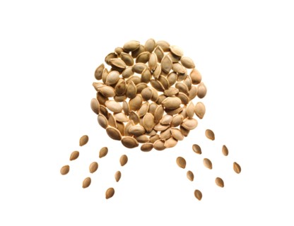 Studio shot of Pumpkin Seed in sun shape on white background. Photo : David Arky