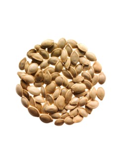 Studio shot of Pumpkin Seed on white background. Photo : David Arky