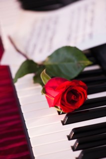 Close up of red rose lying on piano keys. Photo : Daniel Grill
