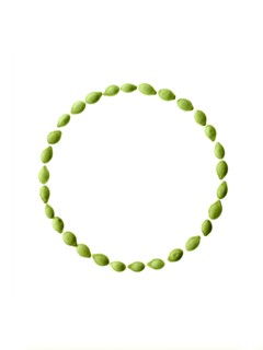 Studio shot of Pumpkin Seeds on white background. Photo : David Arky